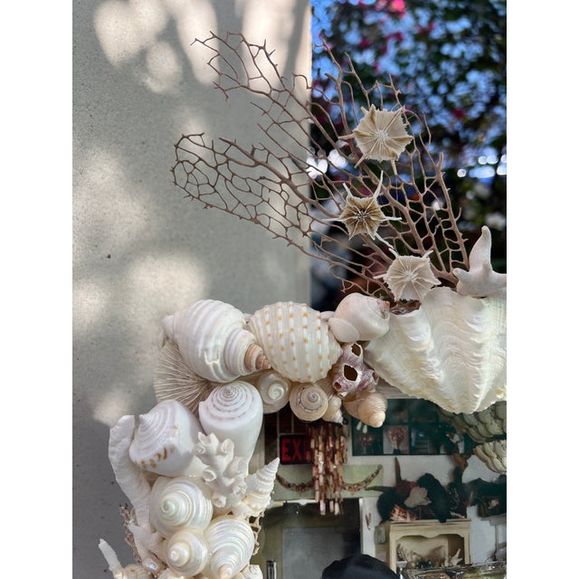 A lovely CSS Seashell Photo Frame in whites in light browns - including a beautiful assortment of polished and unpolished...