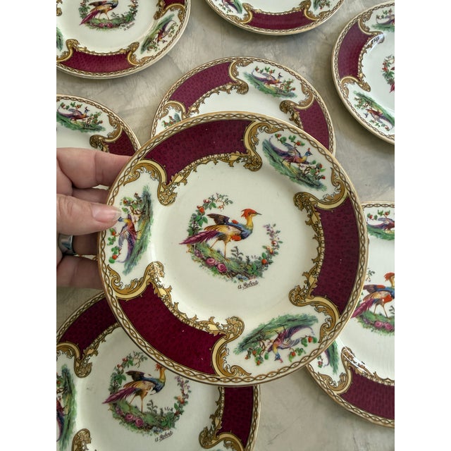 English Antique Myott Chelsea Bird Bread Plates – 6 3/8-Inch Staffordshire England Porcelain With Burgundy and Gilt Decoration - Set of Eleven (11) For Sale - Image 3 of 12