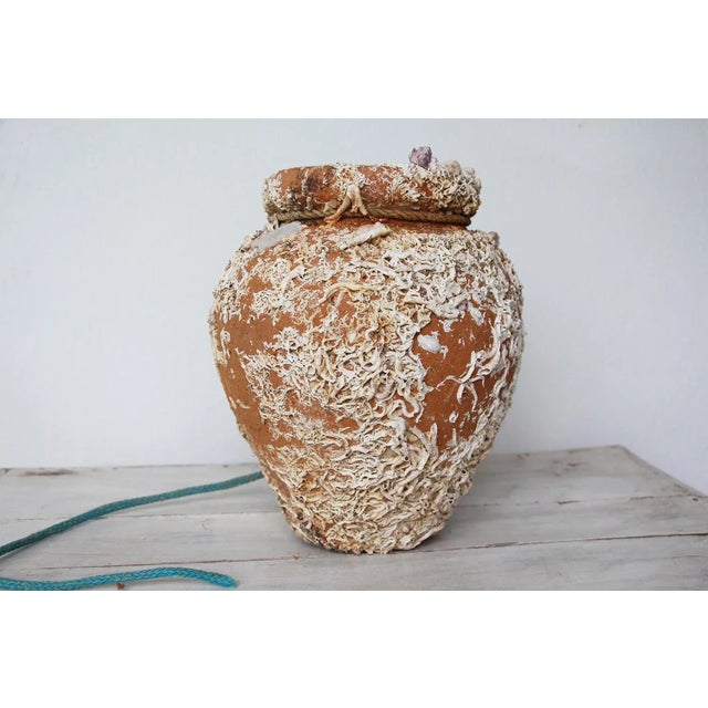 19th Century Terracotta Octopus Trap Vase For Sale - Image 4 of 13