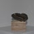 French brass shell footed dish, ashtray or catchall.