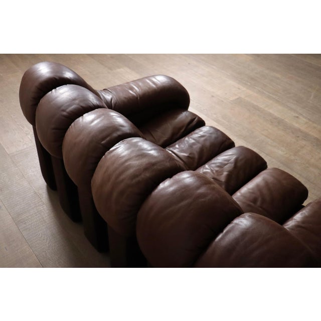 Mid-Century Modern DS 600 Sectional Sofa by Heinz Ulrich, Ueli Berger and Eleanora Peduzzi-Riva for de Sede, 1980s, Set of 17 For Sale - Image 3 of 12