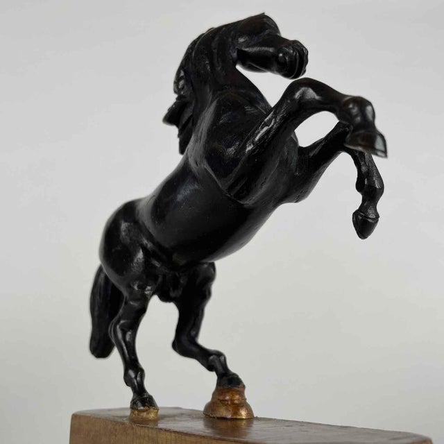 Grand Tour Horse Sculptures, Early 1800s, Bronze on Limewood Bases For Sale - Image 9 of 10