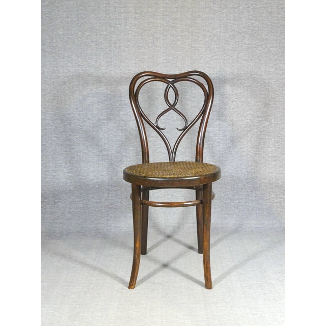 1920s Art Nouveau New York Chairs by Michael Thonet for Gebrüder Thonet, 1925, Set of 6 For Sale - Image 5 of 15