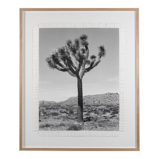 Hand Woven Photograph by Marcelo Bengoechea, Photo by Fernando Bengoechea, "Karma Tree #3" For Sale