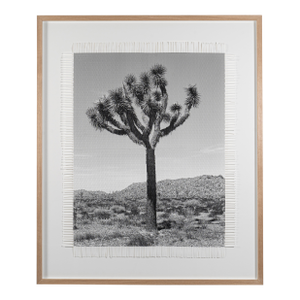 Hand Woven Photograph by Marcelo Bengoechea, Photo by Fernando Bengoechea, "Karma Tree #3"
