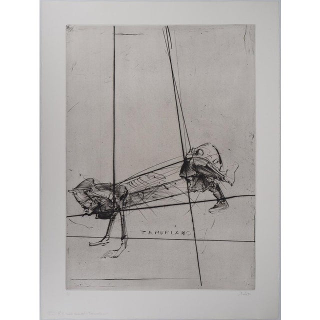 Dado, Tamerlano, 1990, Original Engraving For Sale - Image 5 of 8