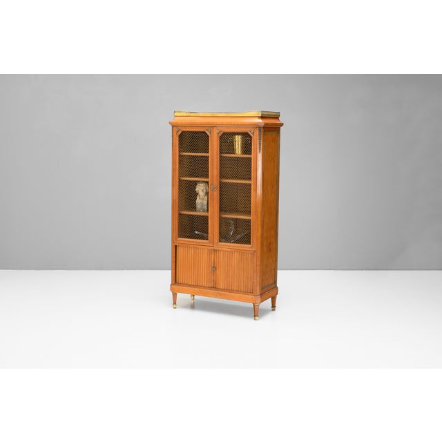 Two door satinwood cabinet with brass mesh and galleried top. France circa 1930.