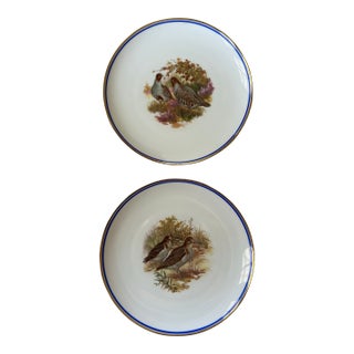 Late 19th Century Pair of German Bird Plates For Sale