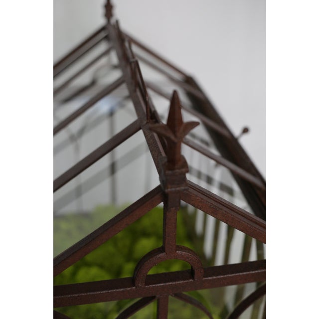 Circa 1900 Antique Wrought Iron Wardian Case Terrarium Chairish