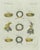 Bertuch, Ancient Crowns and Laurel Wreaths, C. 1800, Engraving For Sale - Image 3 of 9