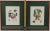 Traditional 1980s Framed Botanical Prints of Peaches, a Pair For Sale - Image 3 of 7