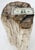 Large Beige Petrified Wood Organic Stomp Shape Stand End Side Table Pedestal For Sale - Image 10 of 10