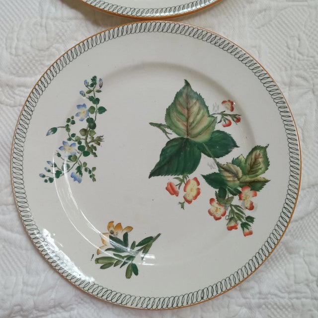 Late 19th Century Wedgewood Creamware Botanicals Plates- Set of 3 For Sale In Greenville, SC - Image 6 of 8