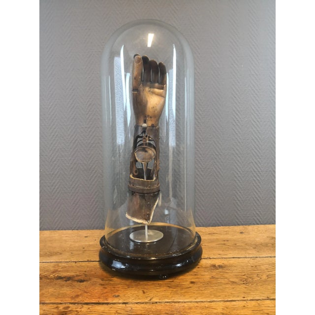 Antique German Hand in Glass by Ferdinand Sauerbruch For Sale - Image 11 of 11