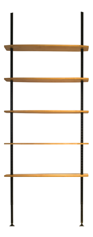 Vintage Swiss Wall Unit, 1955