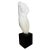 Mediterranean Classical Female Plaster Torso Figural Bust Sculpture on Wood Base, Mma For Sale - Image 3 of 14