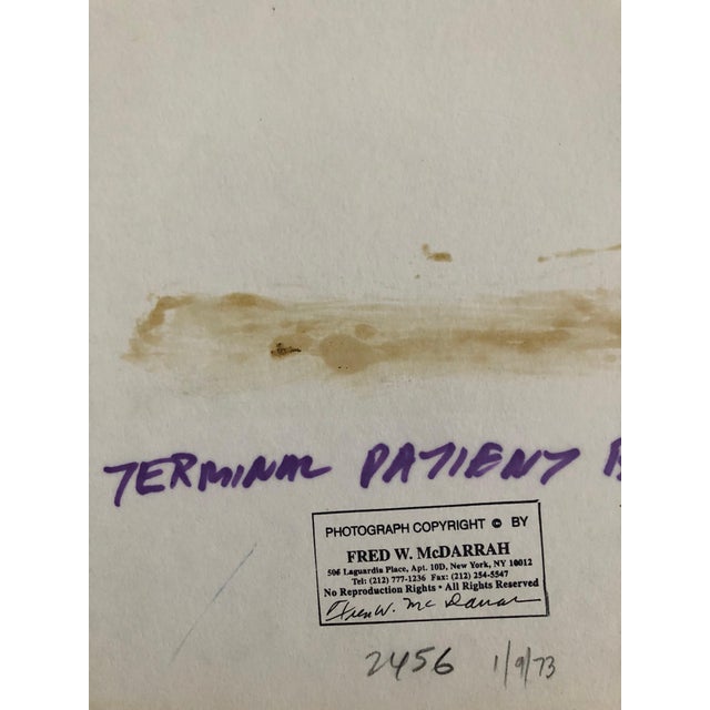 Late 20th Century Fred McDarrah, Large Vintage Print Silver Gelatin Signed Photograph Terminal Patient Bird Cover, 1973 For Sale - Image 5 of 8