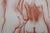 Antoniucci Volti, Nus de dos (Nude), Lithograph For Sale - Image 4 of 6