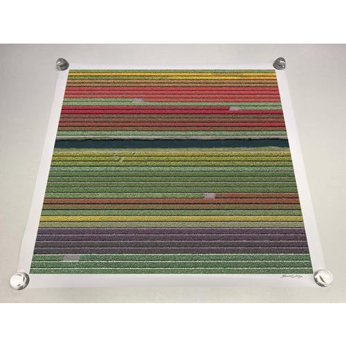 Bernhard Lang, av_tulip_fields_037: Aerial View, Limited Edition Photograph For Sale - Image 7 of 11