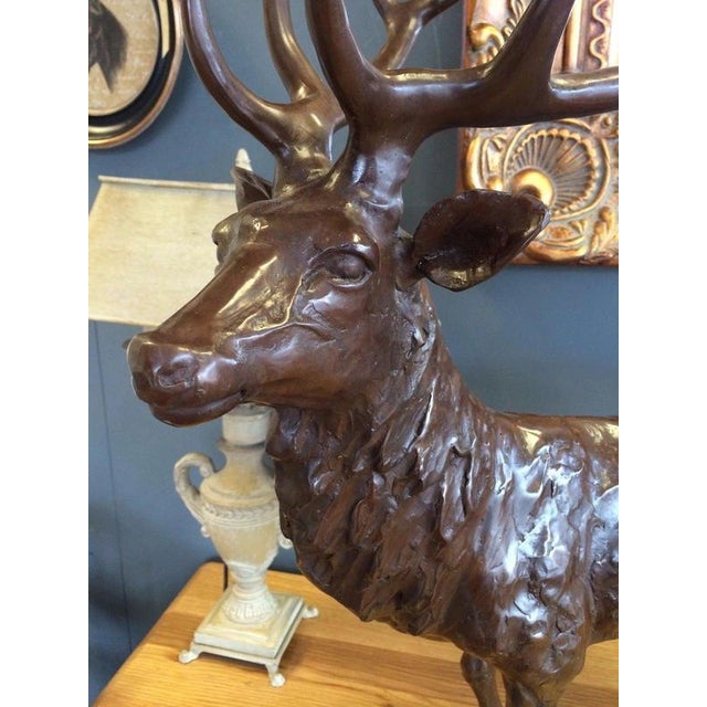 2000 - 2009 Stag Sculpture in Bronze For Sale - Image 5 of 13