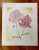Paper Vintage Style Floral, Peonies Original Mixed Media Drawing by Kathleen Ney For Sale - Image 7 of 9