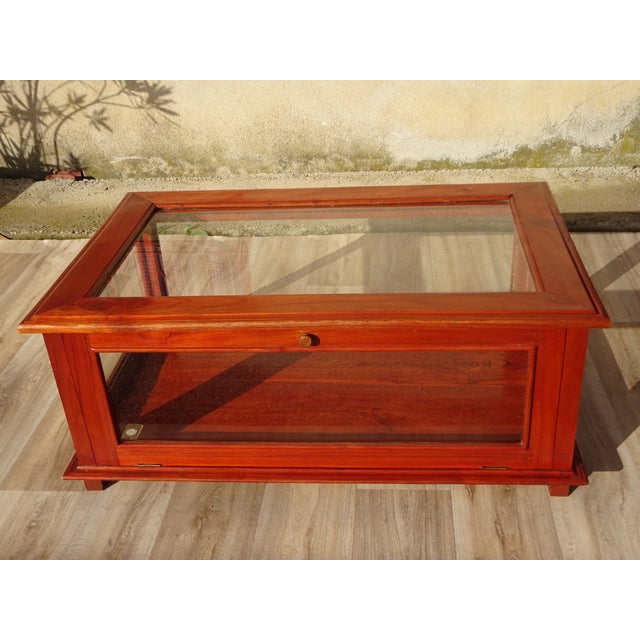 Display Cabinet with Exotic Wood Structure For Sale - Image 4 of 17