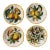 Late 19th Century Hand-Painted Cantagalli Firenze Majolica Italian Plates- Set of 4 For Sale