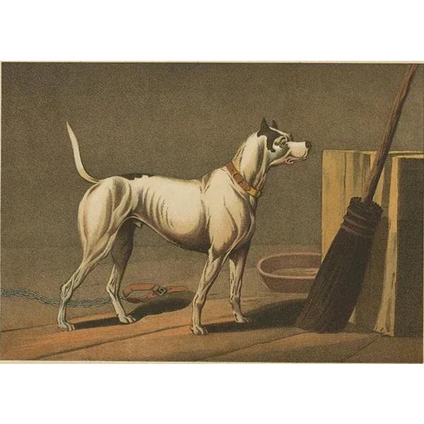 Handcolored aquatint made after Henry Alken by J. Clark. The antique aquatint depicting a dog named 'Crab' by J. Clark...