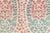 Full-width fabric remnant of Lisa Fine's Lahore in Calico - an abstract floral/paisley in beautiful tones of soft red and...