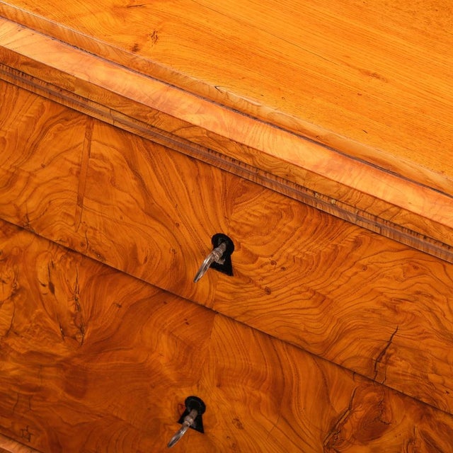 Biedermeier Commode in Ash For Sale - Image 3 of 8