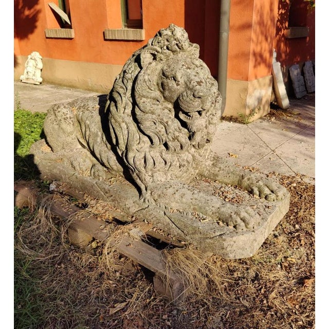 Handcrafted and Sculpted Ofllions in Vicenza Stone, 19th Century, Set of 2 For Sale - Image 5 of 12