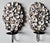 Metal Oyster Shell & Wrought Iron Candle Sconces-a Pair For Sale - Image 7 of 8