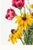 Vintage Wildflowers Study, Botanical Art Print Reproduction, 40" X 60" For Sale - Image 9 of 10