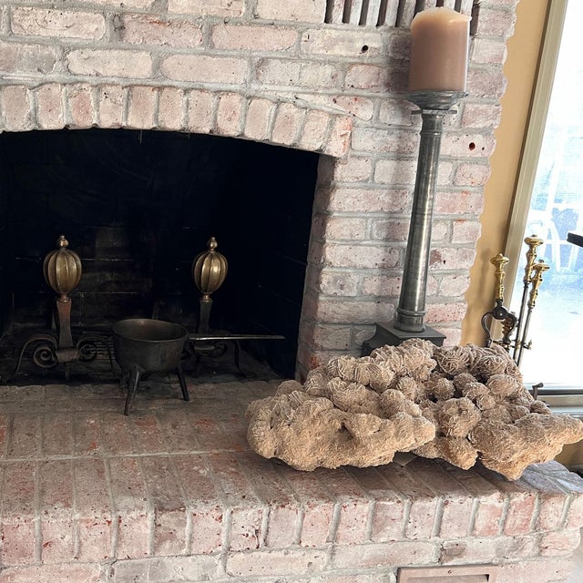 Late 20th Century Very Large Selenite Desert Rose Crystal Cluster Rock Formation For Sale In Denver - Image 6 of 11