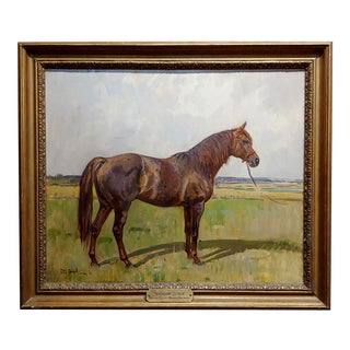 Peter Biegel -Matador , Portrait of a Horse -Oil Painting For Sale