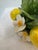 Capodimonte Lemon Candles Holders, Set of Two For Sale - Image 9 of 12