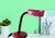 A great little red desk lamp with a strong fexible plastic arm to adjust the light anywhere you want. Its distinctive...