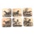 Horse Coasters: 1950s Italian Lacquerware, Equestrian Decor (Set of 6) For Sale
