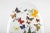Created by Hasharat, this striking sculptural display features an assemblage of exotic butterfly specimens mounted in...
