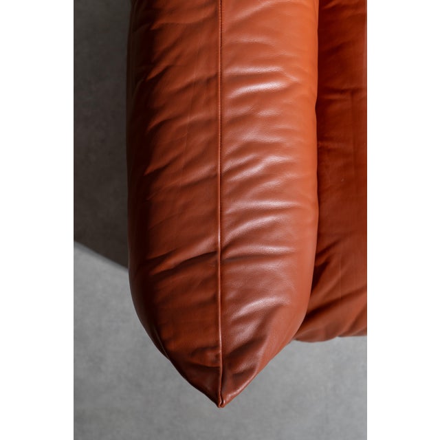 Marenco Sofa by Mario Marenco for Arflex, 1970s For Sale - Image 12 of 16