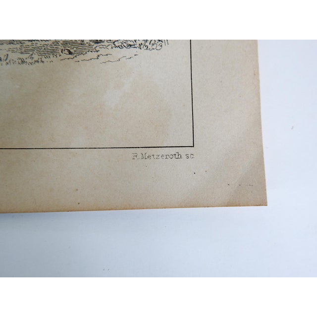 Mid 19th Century Us Pacifc Railroad Rats Lithograph Book Plate - A Pair For Sale In Seattle - Image 6 of 6