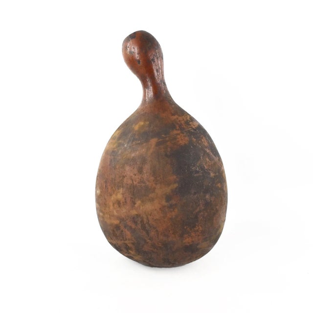 Early 20th Century Early 20th Century Maasai Milk Gourd Container Kenya For Sale - Image 5 of 5