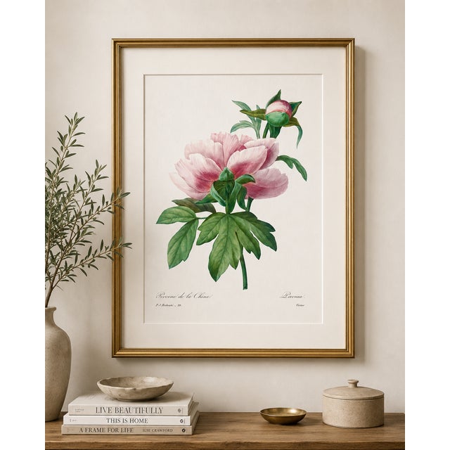 Peony by Pierre-Joseph Redouté, Vintage Botanical Art Print, 12" X 16" For Sale In Buffalo - Image 6 of 7