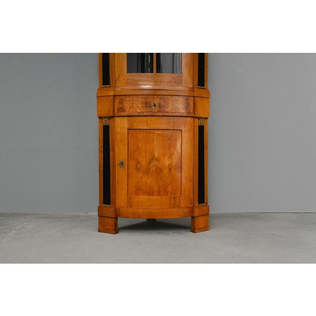 19th Century Biedermeier Corner Display Cabinet For Sale - Image 11 of 18
