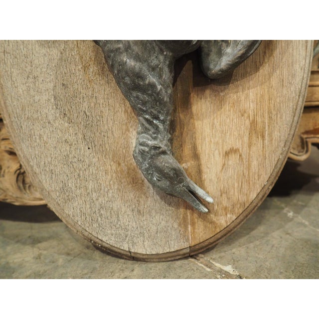 Pair of Circa 1890 Weathered French Hunt Trophies on Natural Oak Oval Panels For Sale - Image 12 of 18