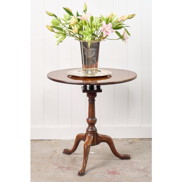 English 18th Century Georgian Tripod Rotating Table With Cage For Sale - Image 3 of 6