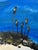 Sand Coastal Beach Seascape Original Oil Painting, Signed For Sale - Image 8 of 12