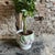Art Nouveau cachepot that will undoubtedly make your favorite plant shine in your interior.