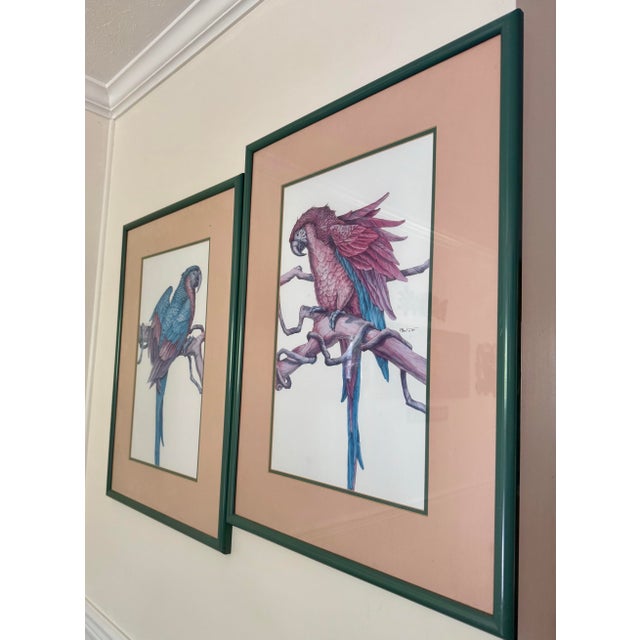 Glass 1980s Parrot Framed Prints by Paul Brent - Set of 2 For Sale - Image 7 of 12