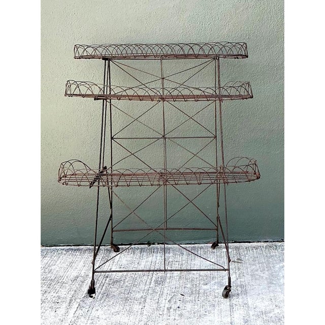 Brown Vintage Three-Tier Wire Plant Stand For Sale - Image 8 of 12